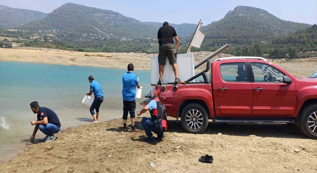 Kilgen Barajına 321 bin yavru sazan, baraja bırakıldı