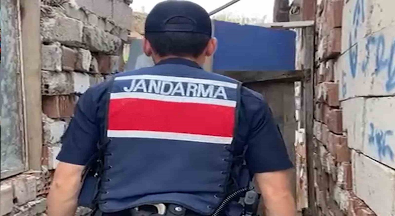 Kırıkkalede evin bahçesinde bin 53 kök kenevir ele geçirildi: 2 gözaltı