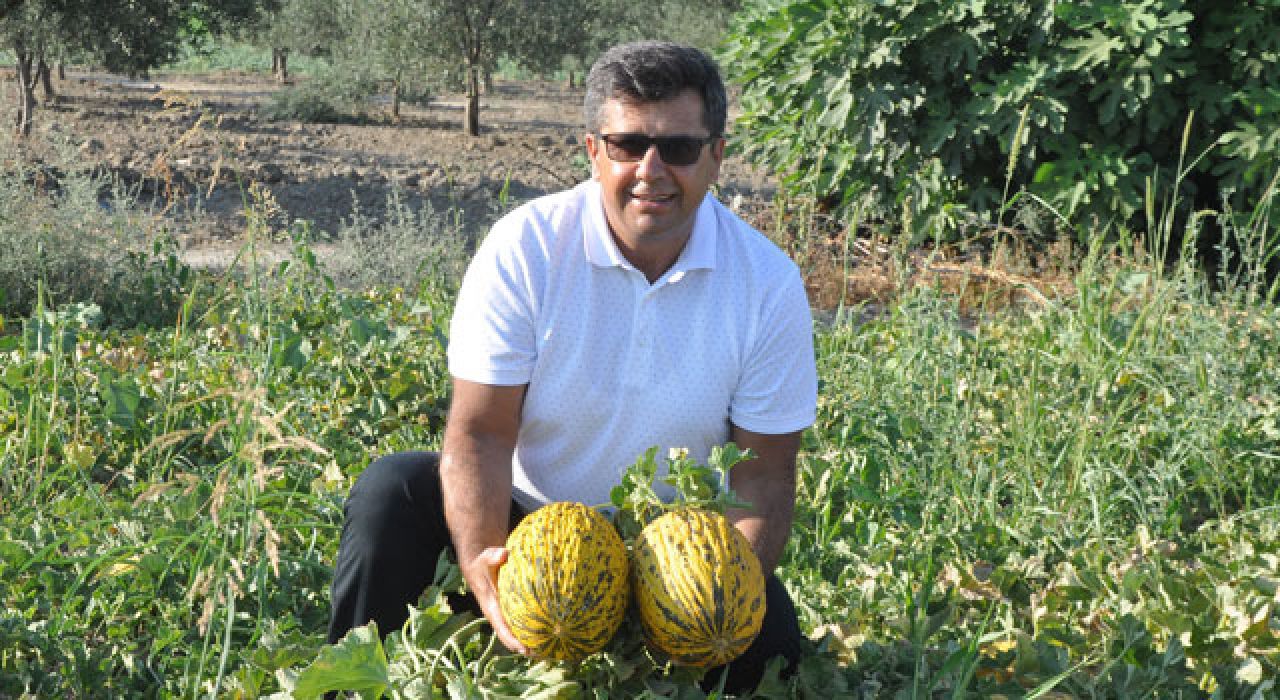 Kırkağaç Kavunu AB Coğrafi İşaret Tescilini Aldı