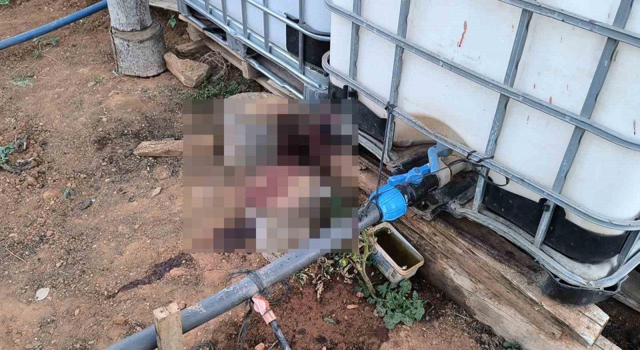 Kırşehirde bahçe sulama kavgası kanlı bitti: Komşusunu öldürüp, eşini yaraladı