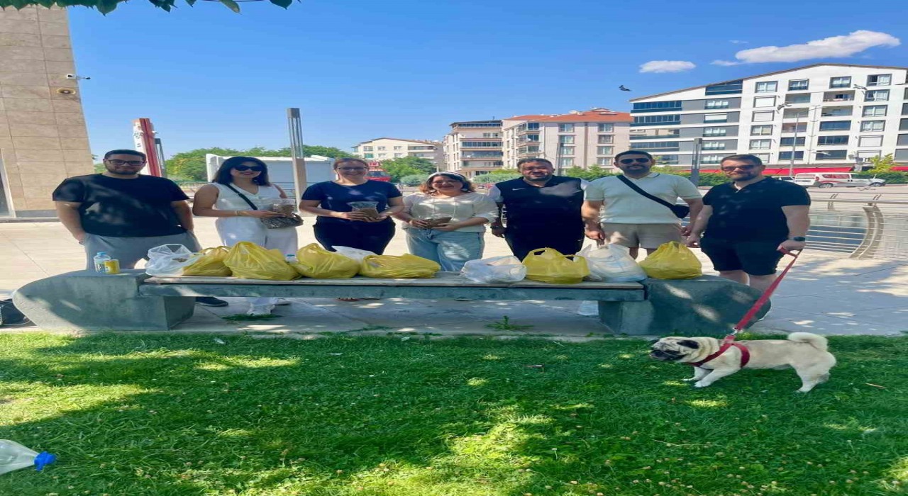 Kırşehirde sokak hayvanları için farkındalık etkinliği düzenlendi