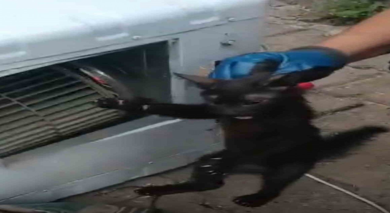 Klimanın motoruna sıkışan kedi için ekipler seferber oldu