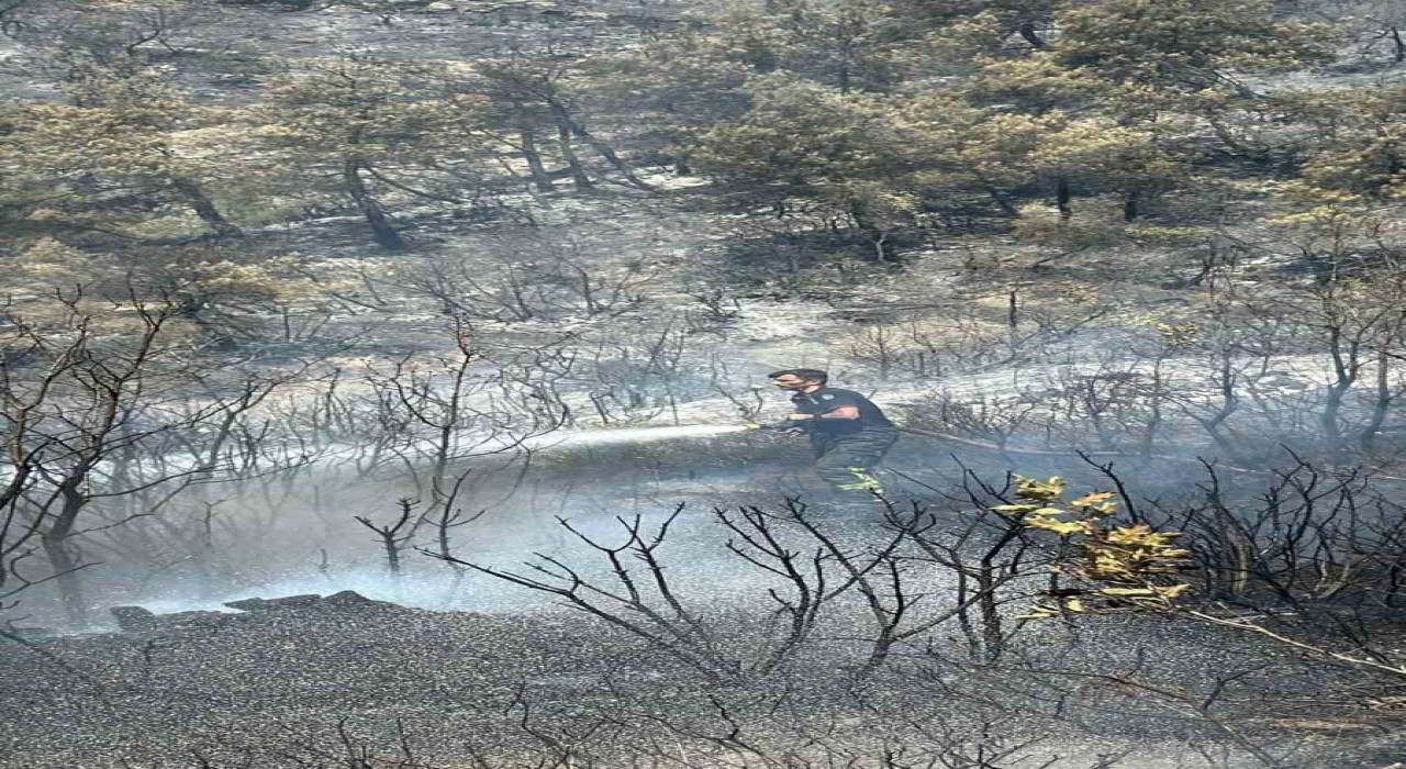 Kocaeli itfaiyesinden Bursaya destek