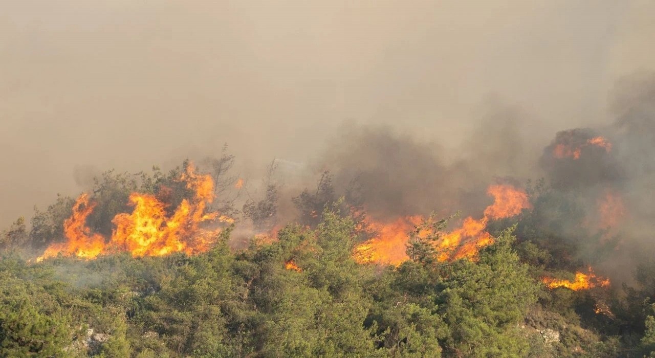 Kocaeli itfaiyesinden Sakaryaya destek