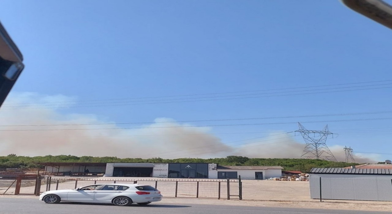 Kocaelide ormanlık alanda yangın çıktı