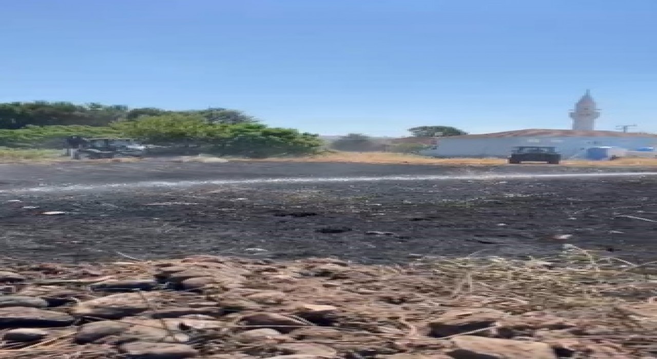 Kocaelide tarım arazisinde yangın çıktı