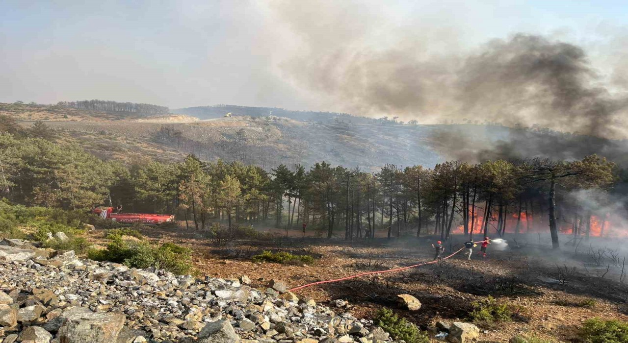 Kocaeliden Bursadaki orman yangınına söndürme desteği