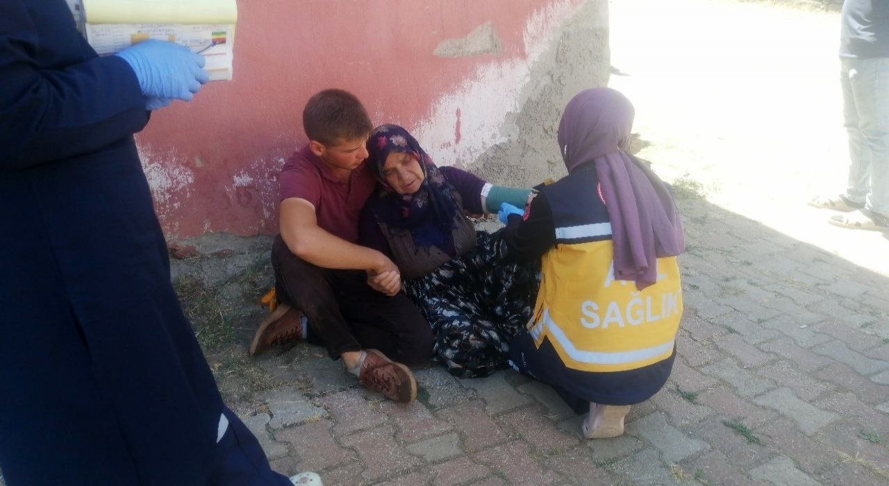 Komşusunun odunluğunun yanışını gören yaşlı kadın panikleyip baygınlık geçirdi