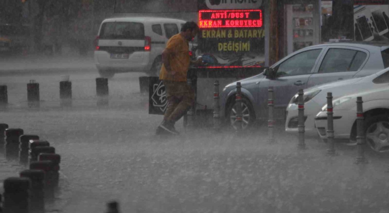 Konyada yağmur bastırdı, sücürüler zor anlar yaşadı