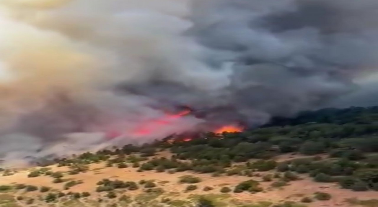 Konyadaki orman yangını kontrol altına alındı