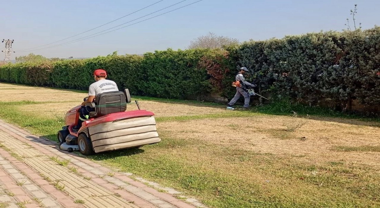 Körfezde yeşil alanlarda bakım ve çim biçme çalışması