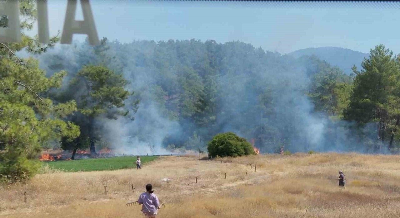 Köyceğizde ot yangını
