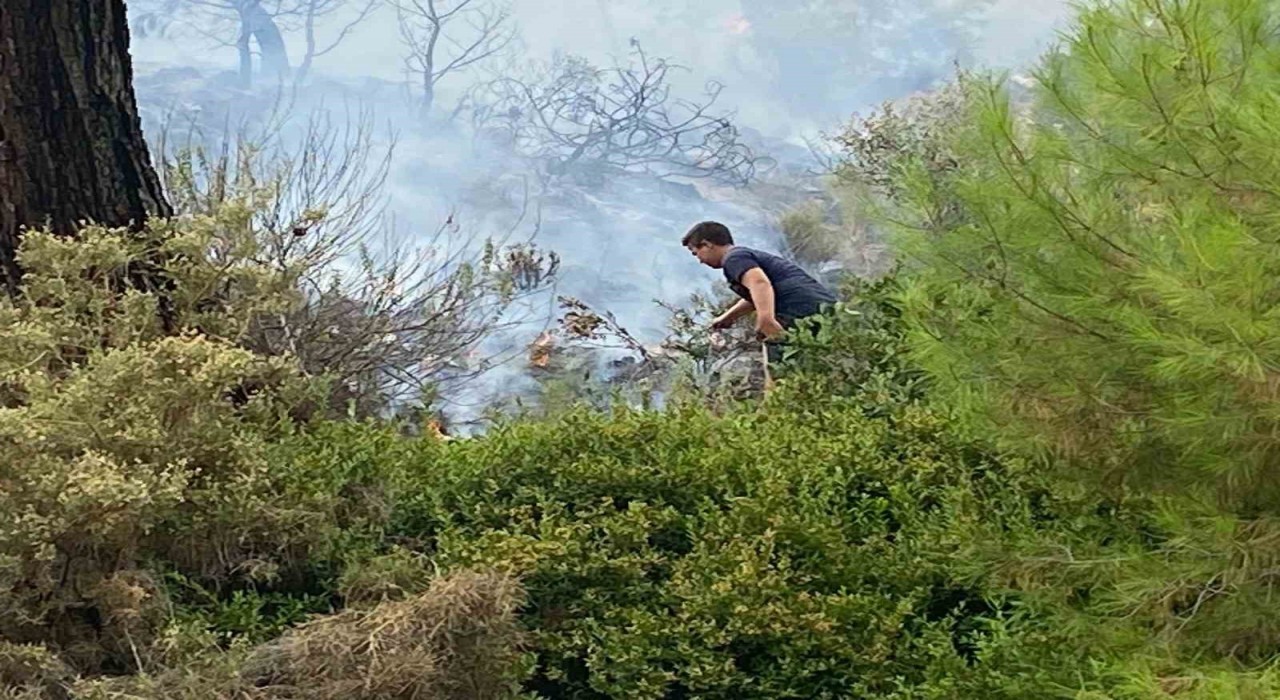 Kumlucada çıkan orman yangınında 1 dekar alan yandı