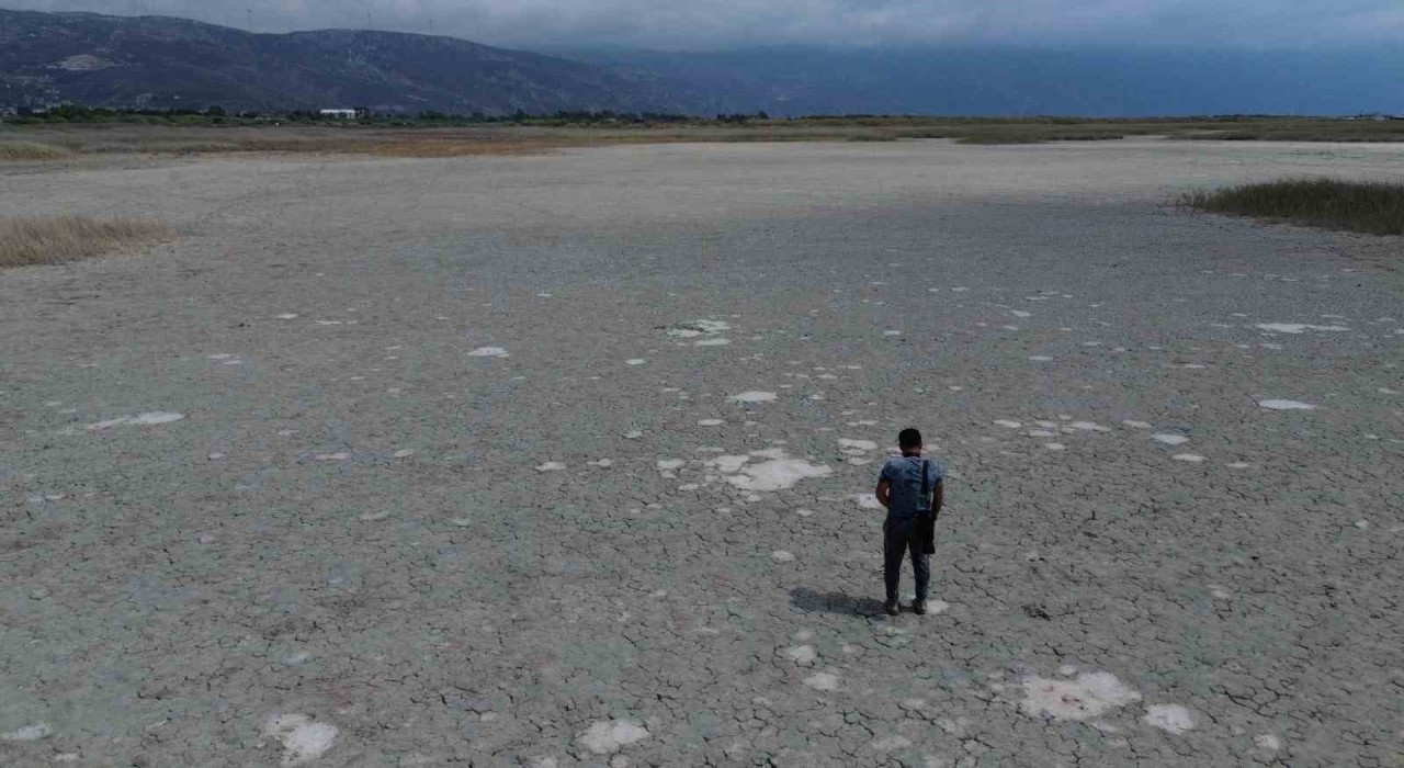 Kuraklığın etkisiyle çöle dönen Milleyhada kuş gözlemcileri gelecekten ümitli
