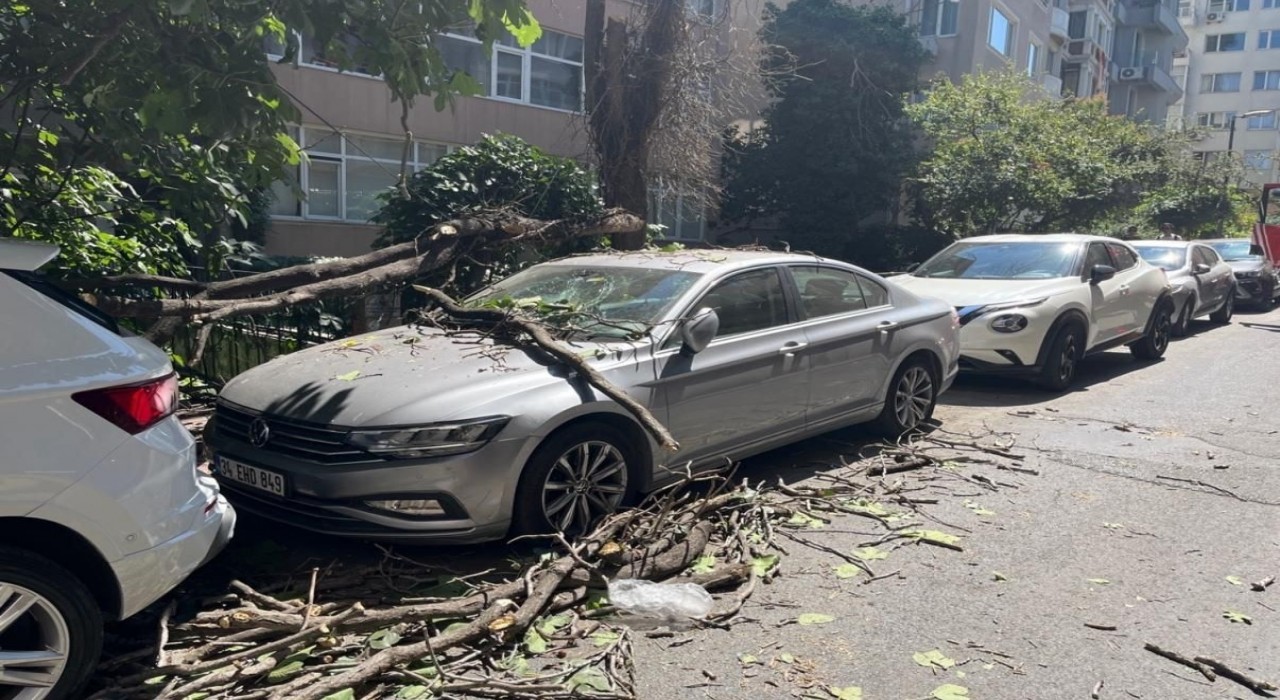 Kurumuş ağaç dalı aracın üzerine düştü: Vatandaş son anda kurtuldu