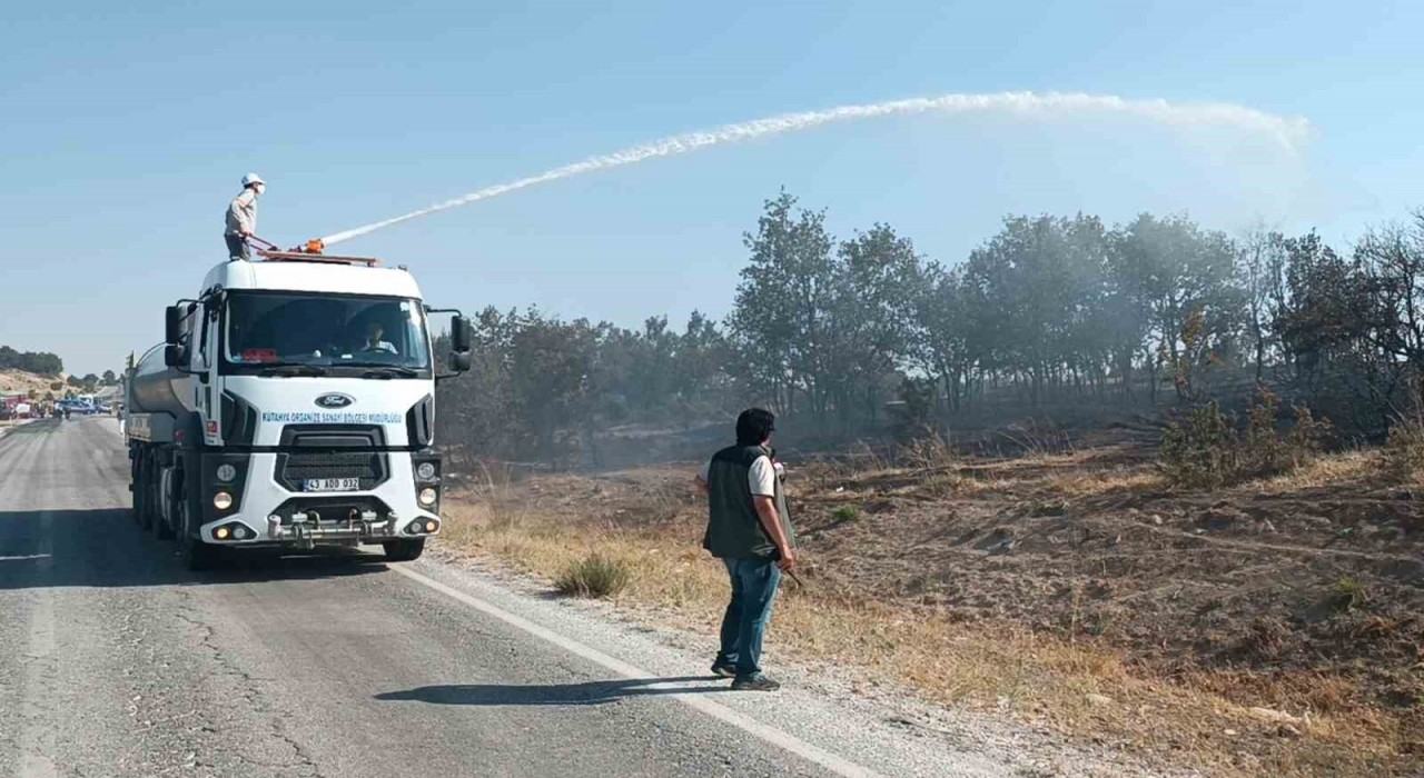 Kütahyada çıkan orman yangını kontrol altına alındı