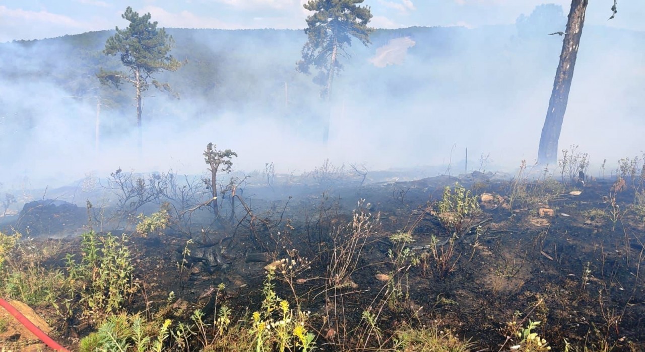 Kütahyada gençleştirme sahasında çıkan orman yangını söndürüldü