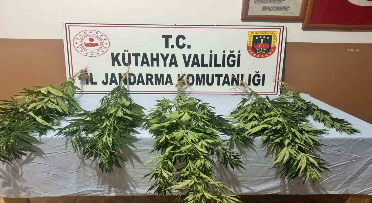 Kütahyada jandarmadan uyuşturucu operasyonu: 2 gözaltı