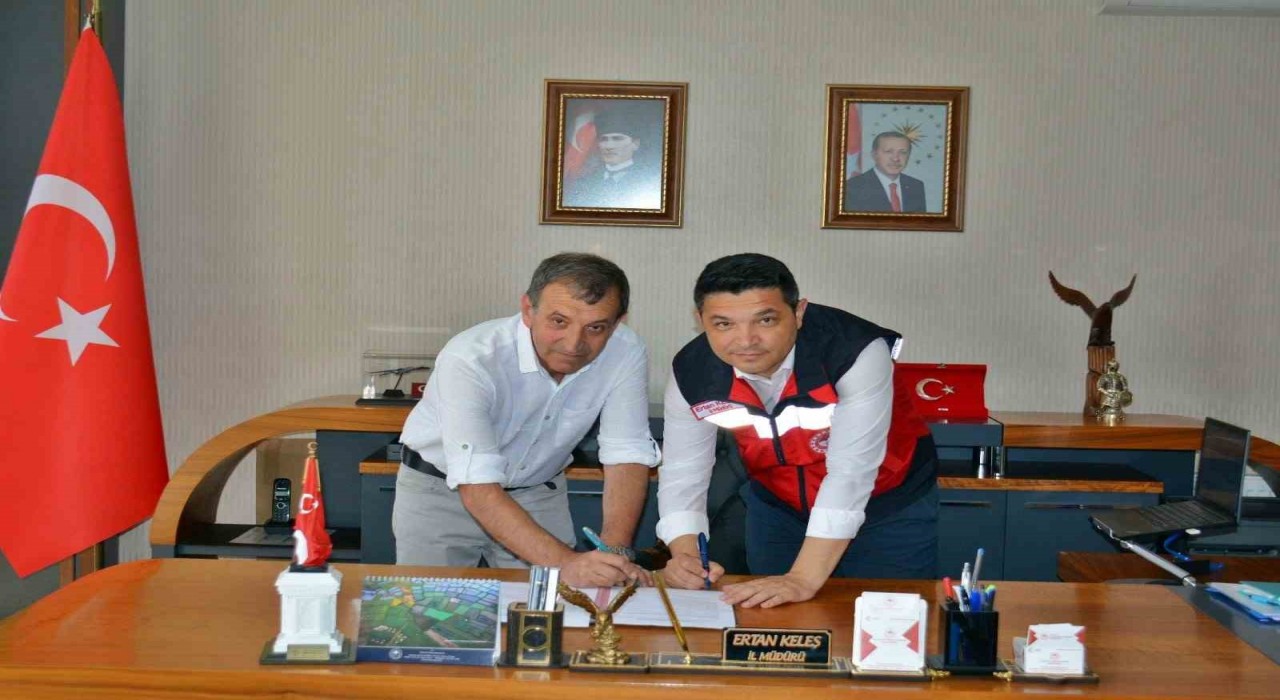 Kütahyada manda ıslahı projesi uygulamaya geçti