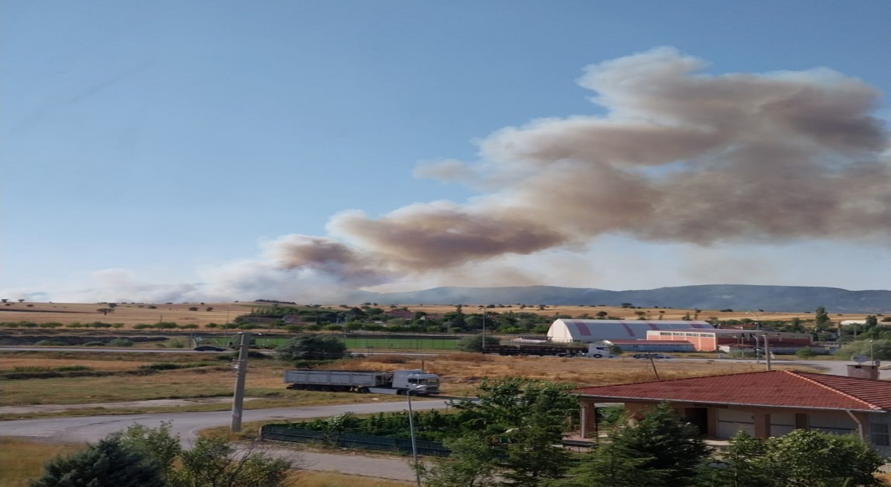 Kütahyada orman yangını
