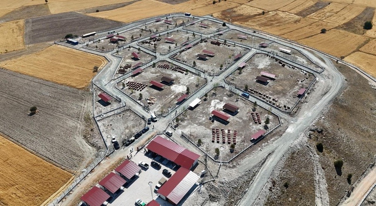 Kütahyada sahipsiz sokak hayvanlarına doğal yaşam alanı