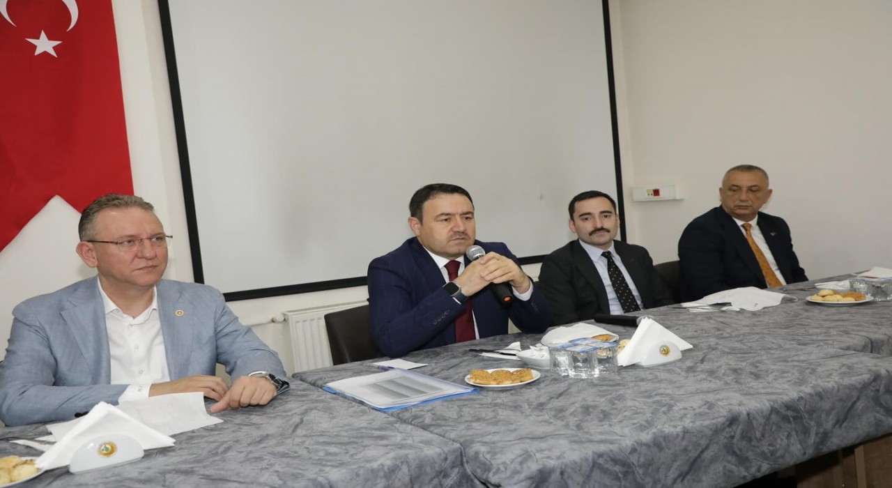 Kütahyamızın ve Domaniçin en büyük serveti ormanlarıdır
