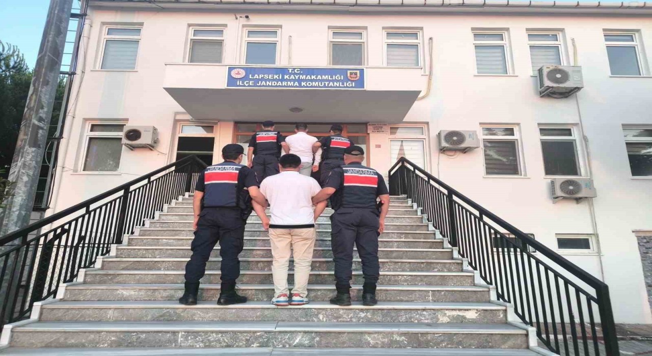 Lapsekide tarım arazisinde çıkan ormanlık alana sıçrayan yangının sebebi sigara izmariti