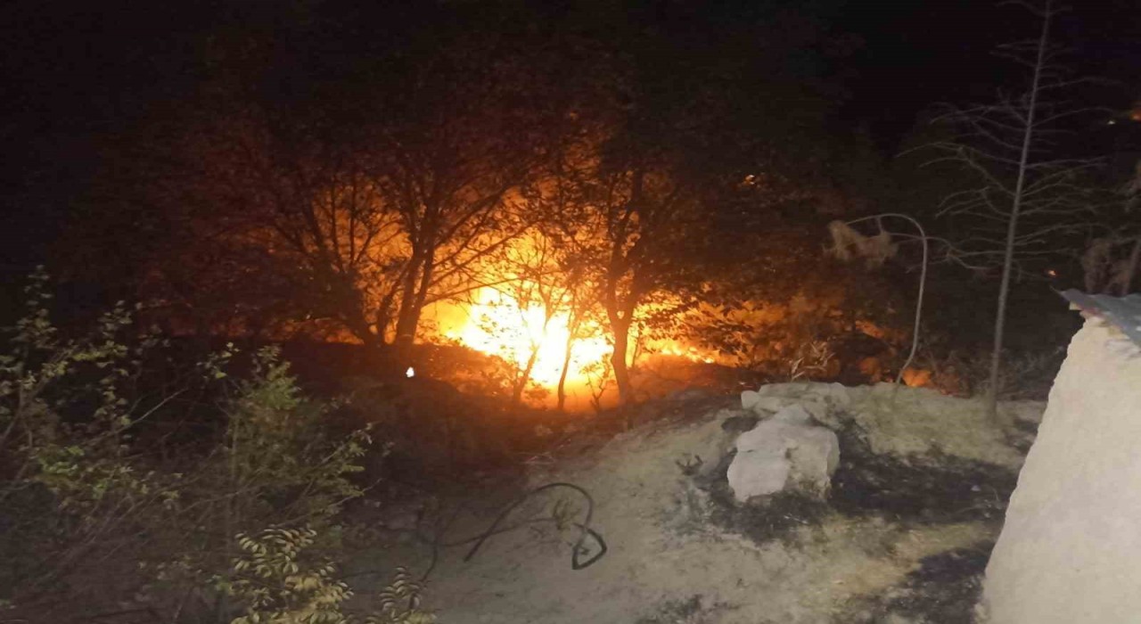 Malatyada, bahçe yangını korkuttu