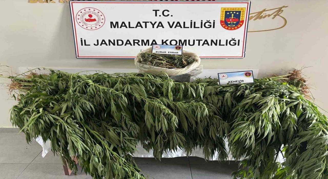 Malatyada jandarmadan uyuşturucu operasyonu