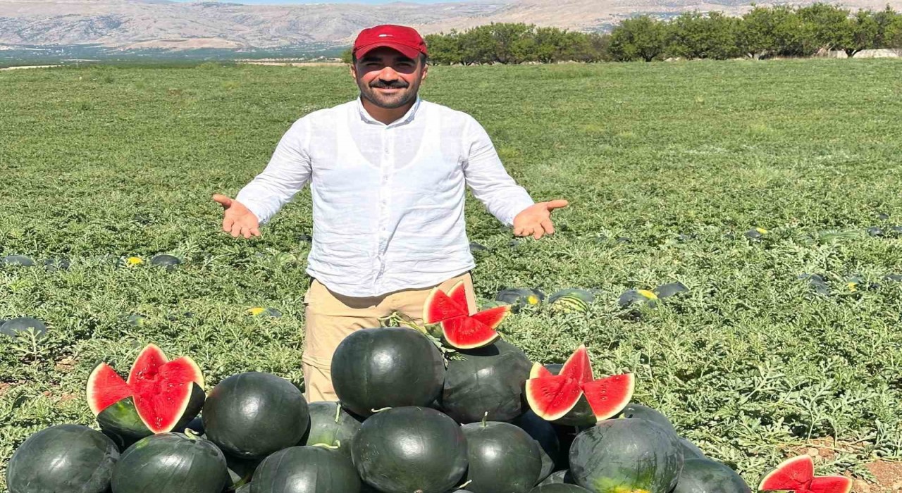 Malatyada karpuz ve kavun hasadı yüz güldürüyor