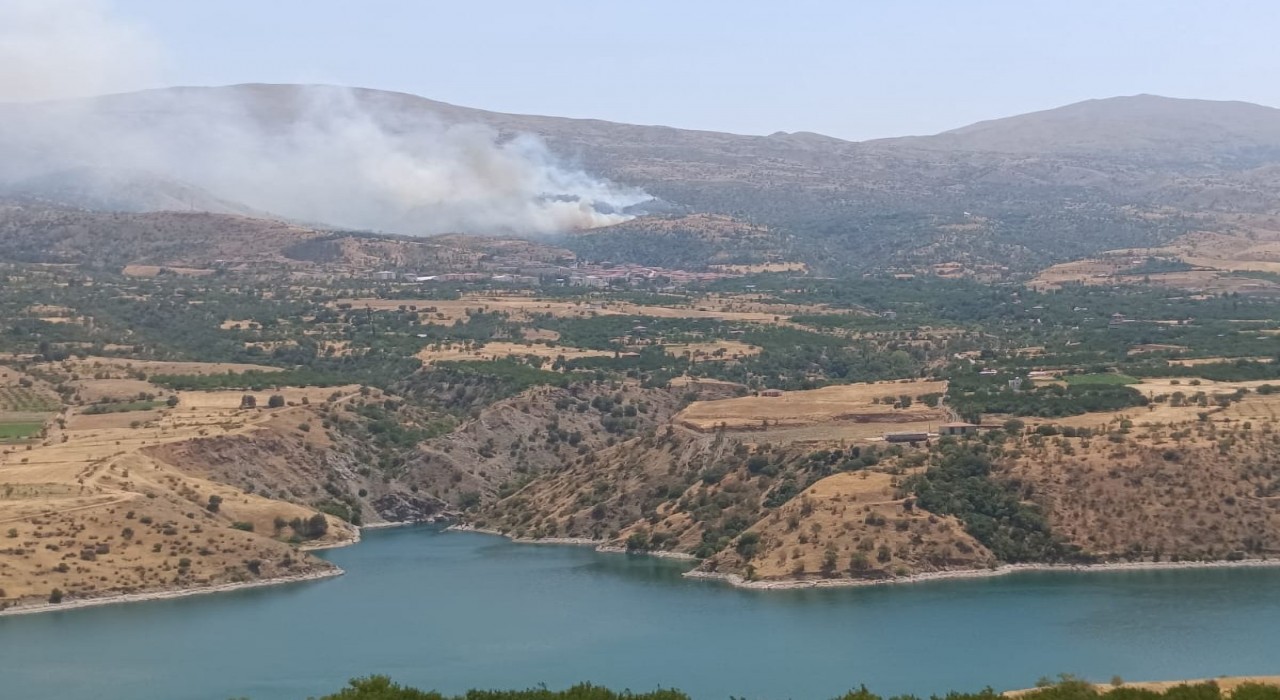 Malatyada orman yangınına havadan müdahale