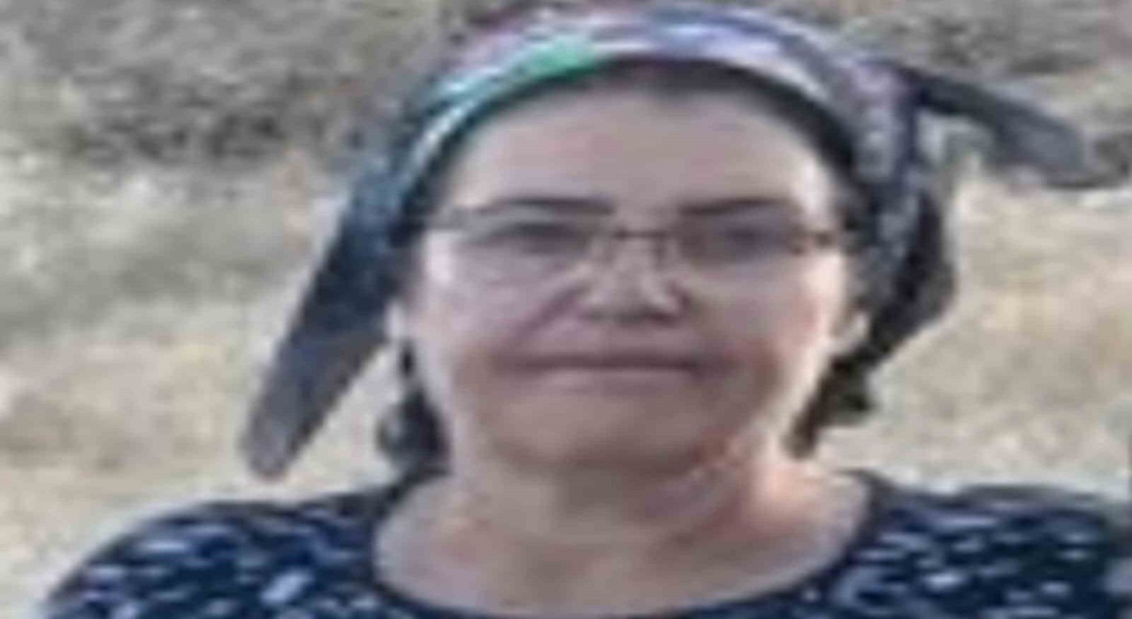 Malatyada üç çocuk annesi havuzda ölü bulundu