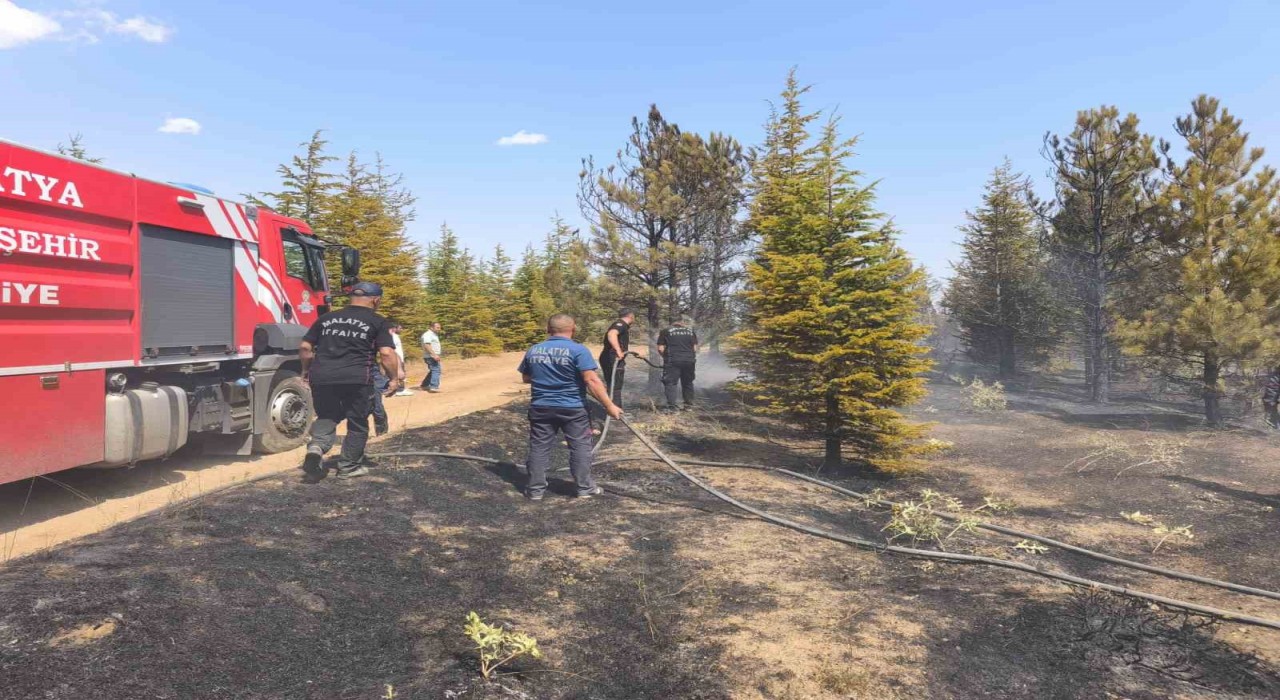 Malatyadaki orman yangını söndürüldü
