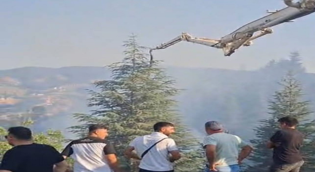 Malatyadaki orman yangınına beton pompasıyla destek