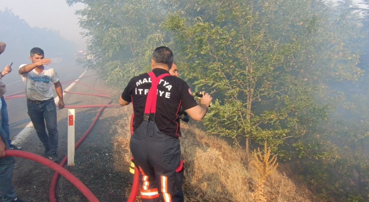 Malatyadaki orman yangınları kontrol altına alındı