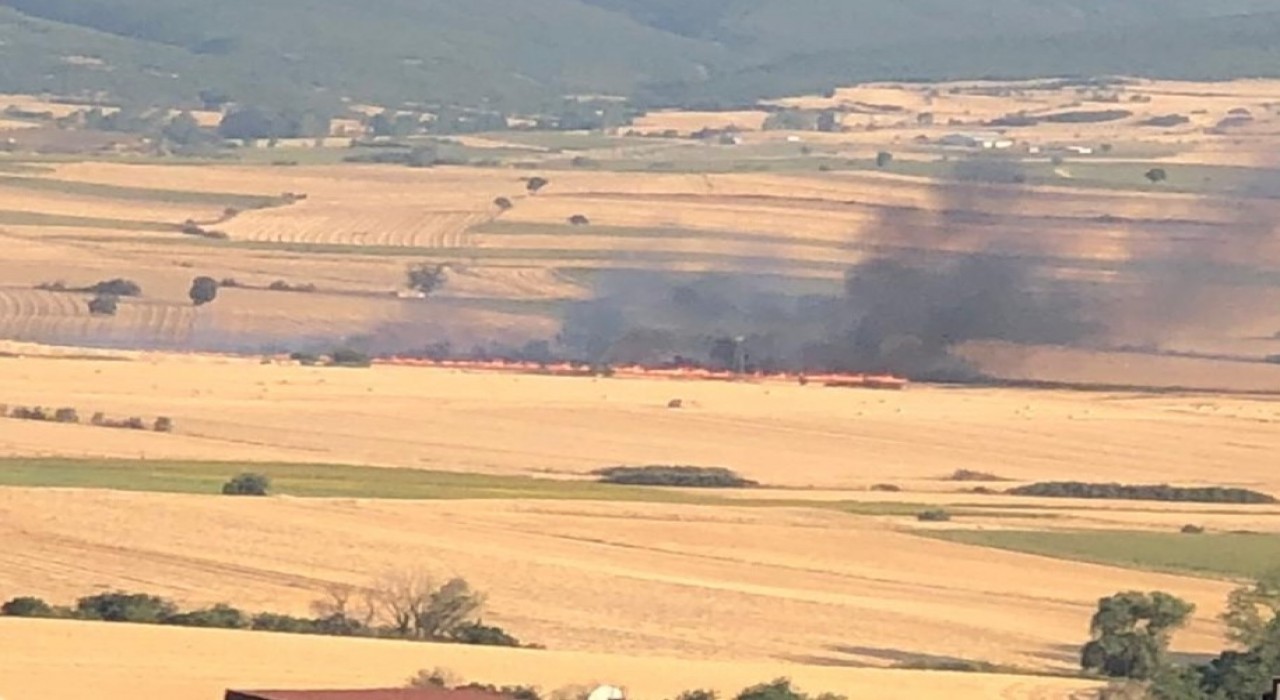 Malkarada anız yangını: 200 dönüm buğday tarlası kül oldu