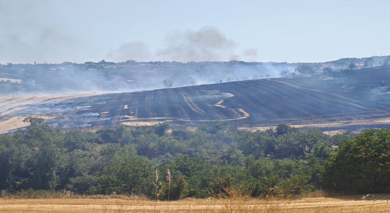 Malkarada anız yangını 200 dönümlük arazide tahribata yol açtı