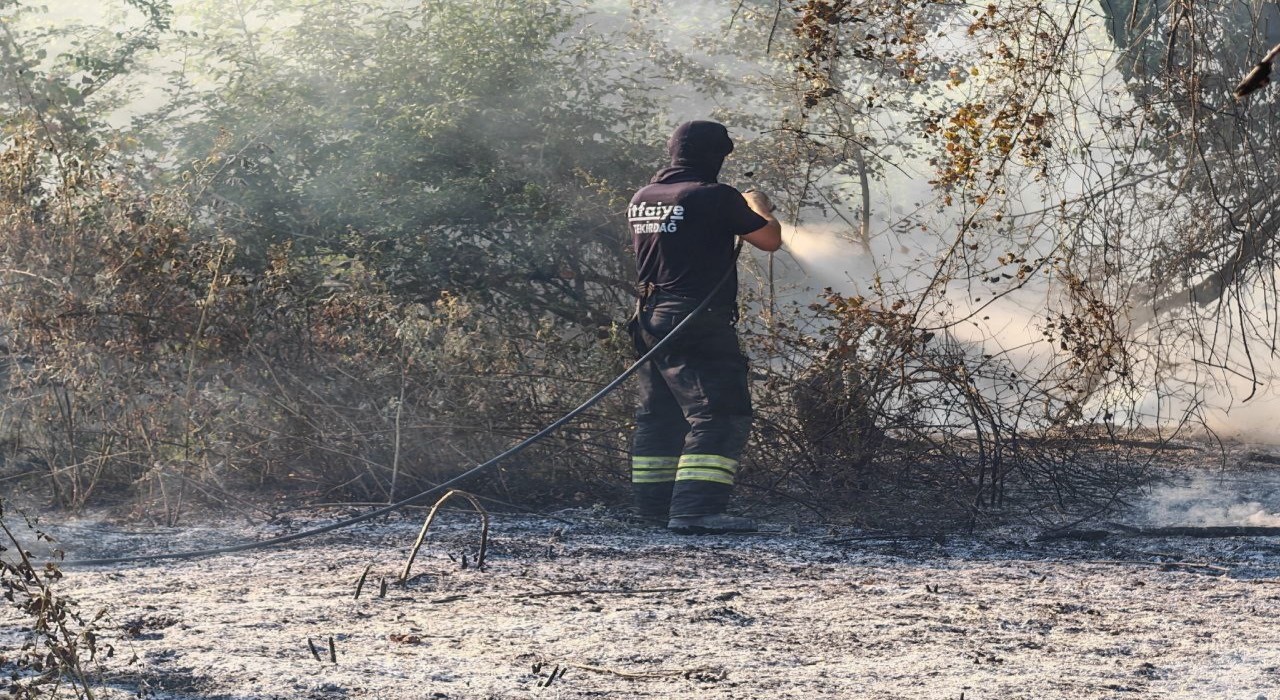 Malkarada ormana sıçrayan anız yangını kontrol altına alındı