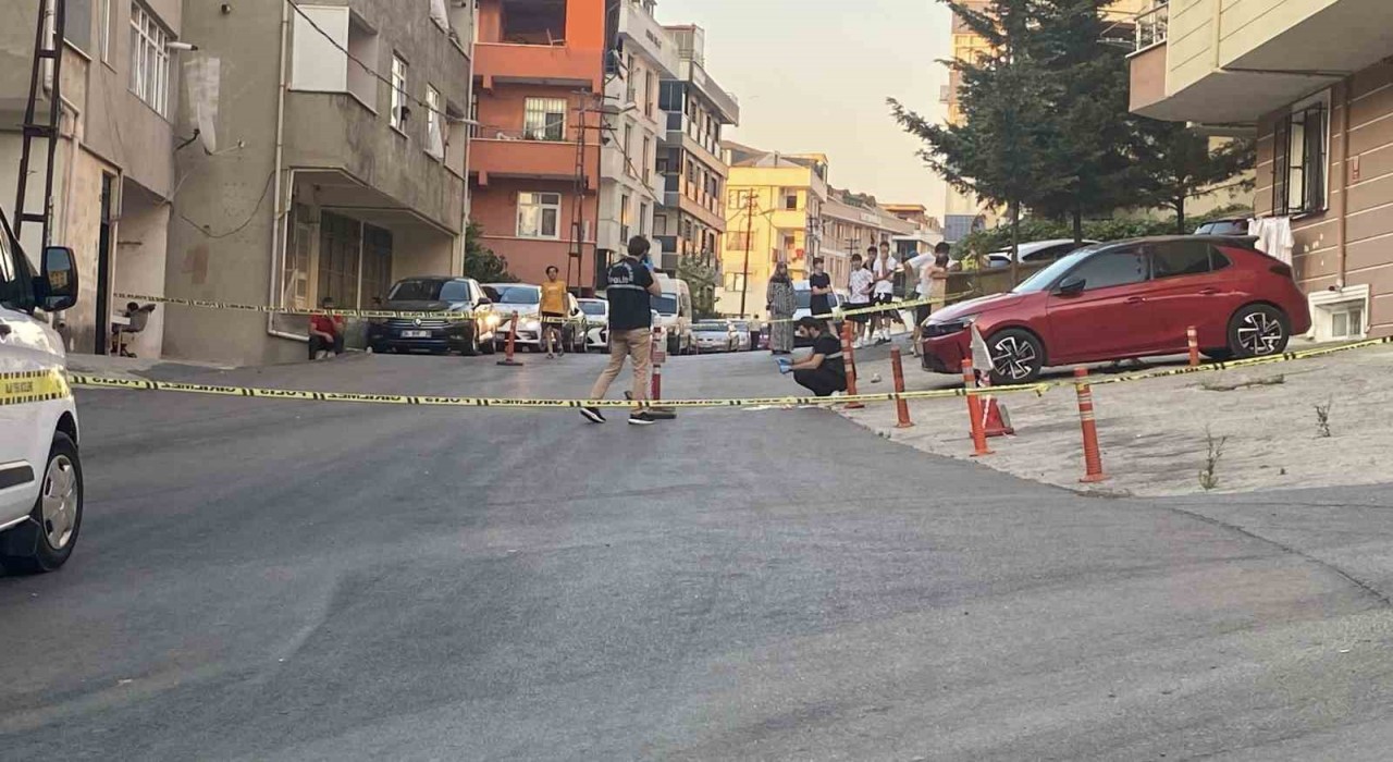 Maltepede kamyonetin çarptığı kadın hayatını kaybetti, kaçan şoför yakalandı