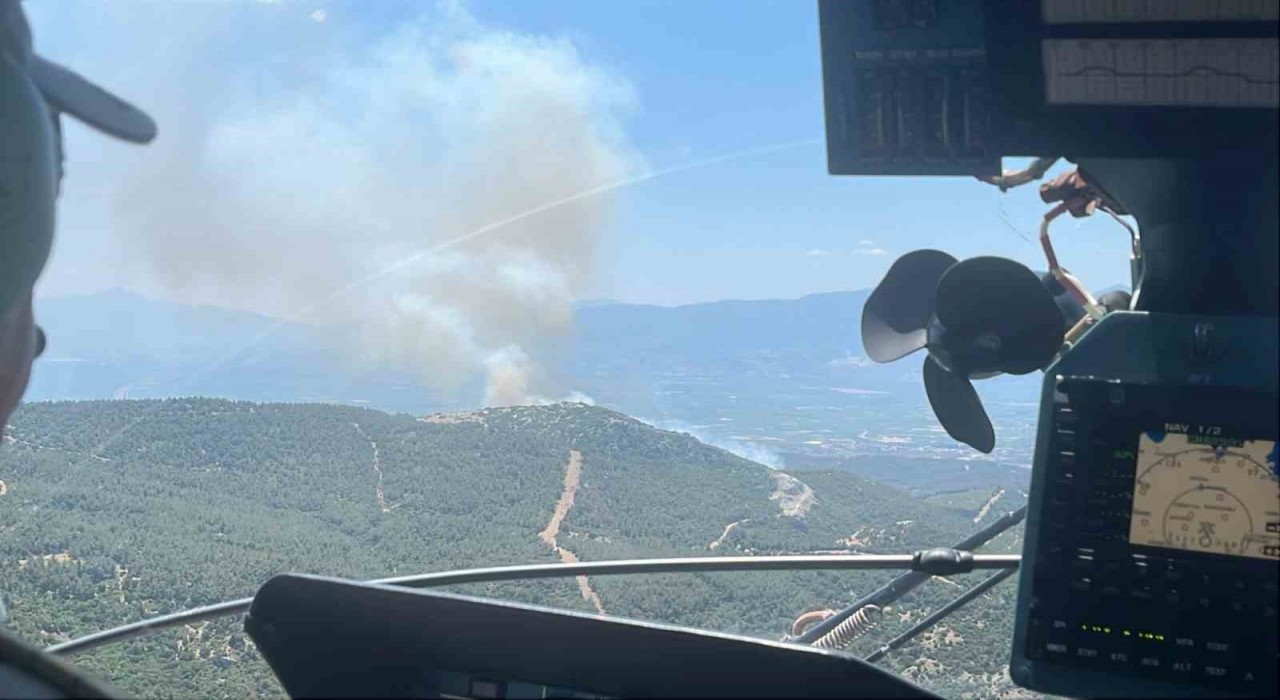 Manisada bir orman yangını daha başladı