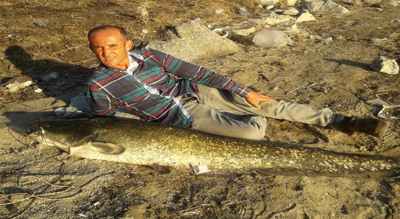 Manisada boyu kadar balık yakaladı