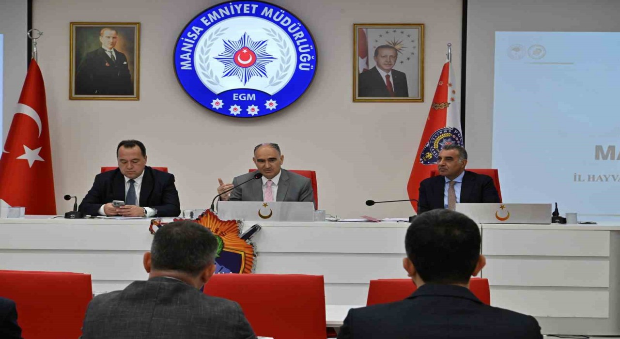 Manisada sahipsiz hayvanlar için etkin tedbirler masaya yatırıldı