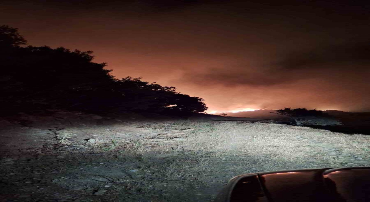 Manisanın Köprübaşı ilçesinde de orman yangını başladı