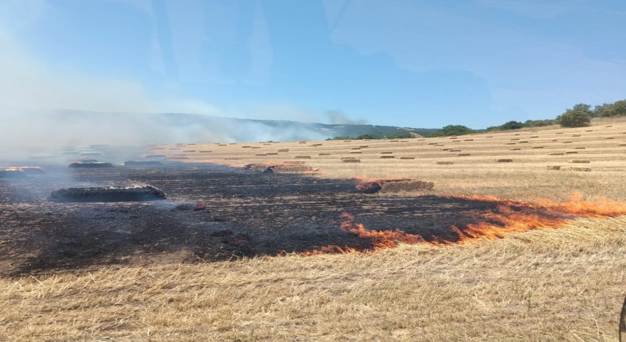 Manyasta anız ve makilik alanda çıkan yangın kontrol altına alındı