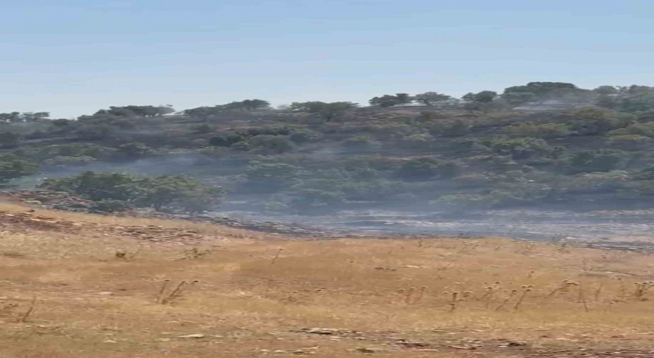 Mardinde örtü yangını kontrol altına alındı