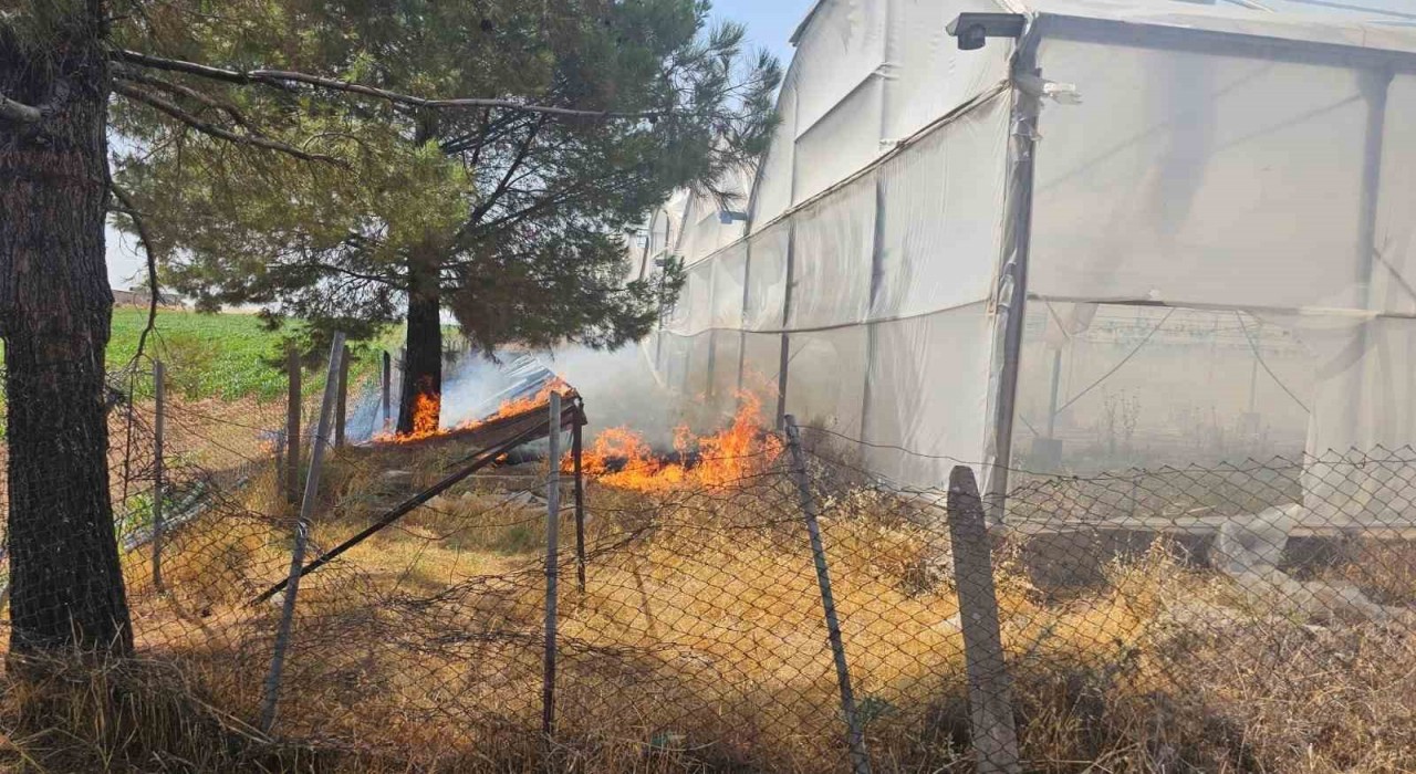 Mardinde otluk alanda çıkan yangın söndürüldü