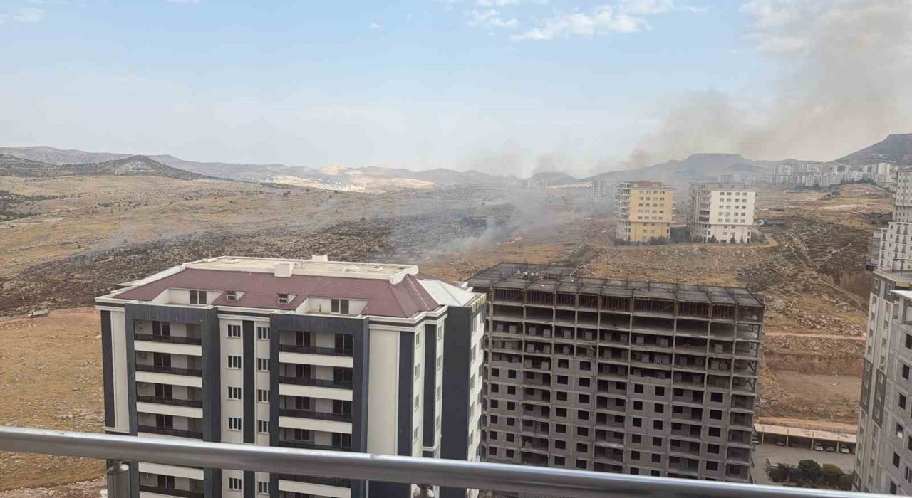 Mardinde otluk alanda çıkan yangın söndürüldü