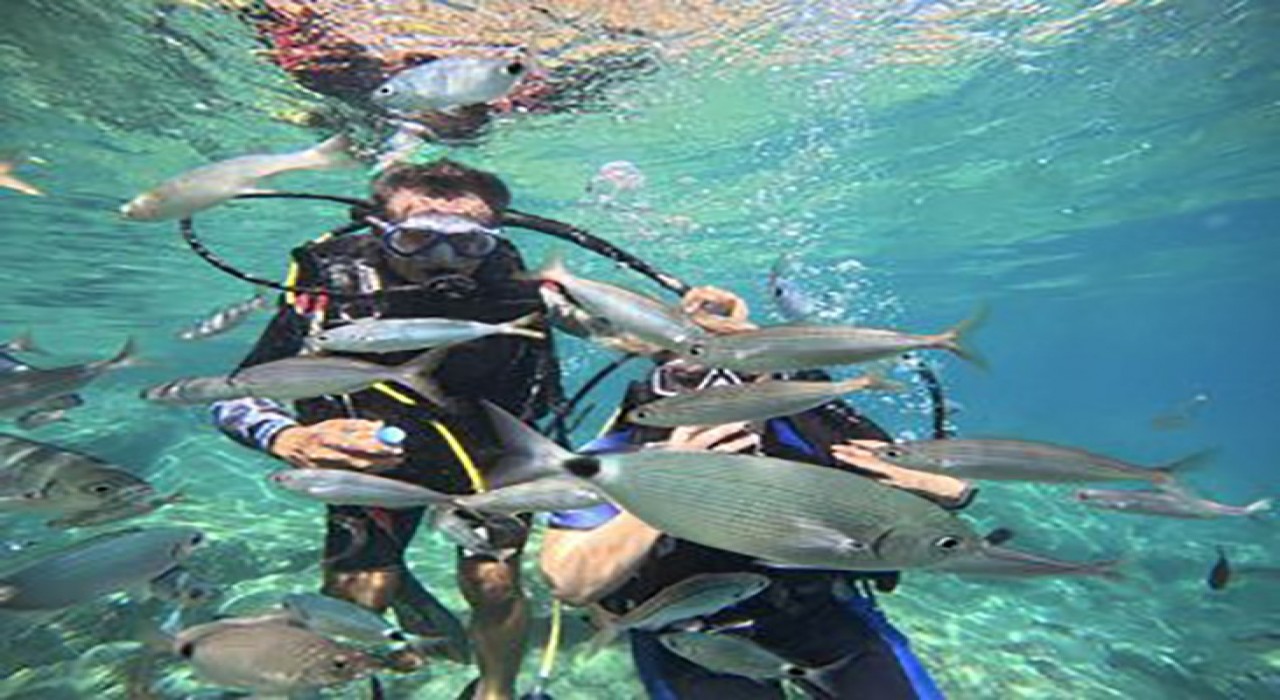 Marmariste dalış turizmine ilgi artıyor