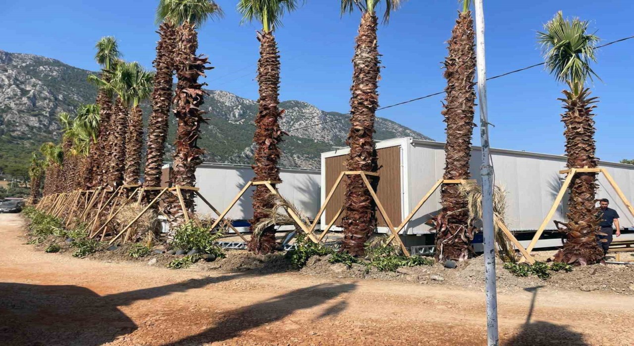 Menteşe Belediyesi Akbükte 11 Tiny Houseu mühürledi