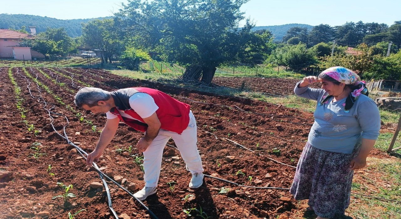 Menteşede tarım ekiplerinden ürün kontrolü ve çiftçi ziyareti gerçekleştirildi